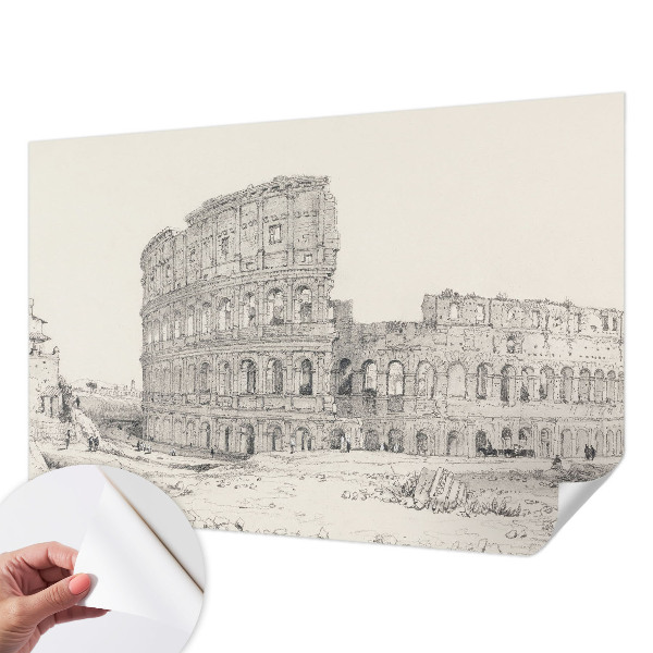 Peel and stick wallpaper mural featuring an ancient ruins scene