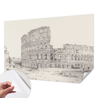 Peel and stick wallpaper mural featuring an ancient ruins scene
