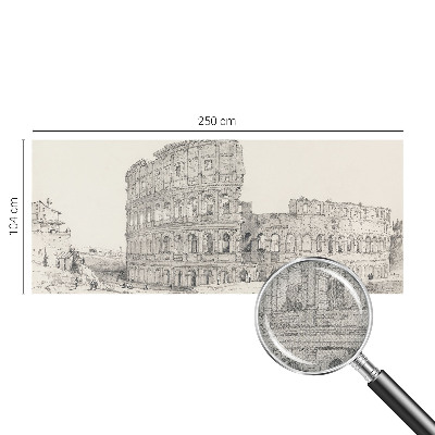 Peel and stick wallpaper mural featuring an ancient ruins scene