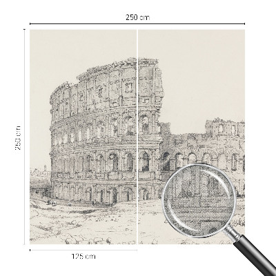 Peel and stick wallpaper mural featuring an ancient ruins scene