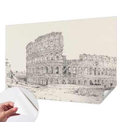 Peel and stick wallpaper mural featuring an ancient ruins scene