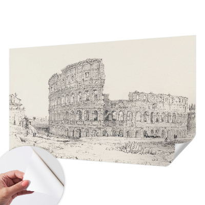 Peel and stick wallpaper mural featuring an ancient ruins scene