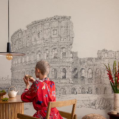 Peel and stick wallpaper mural featuring an ancient ruins scene