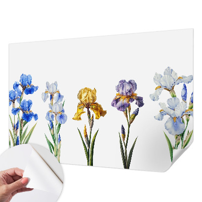 Removable wall mural with iris flower design