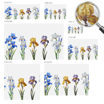 Removable wall mural Iris flowers