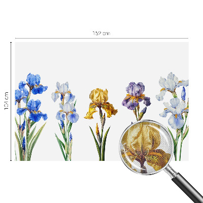 Removable wall mural with iris flower design