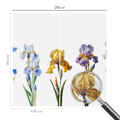 Removable wall mural with iris flower design