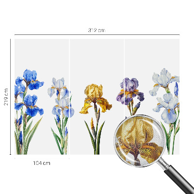 Removable wall mural Iris flowers