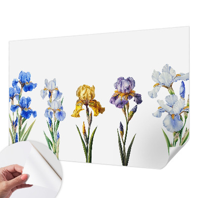 Removable wall mural with iris flower design