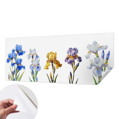 Removable wall mural Iris flowers