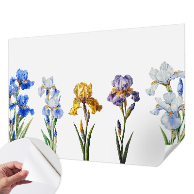 Removable wall mural with iris flower design