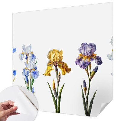Removable wall mural Iris flowers