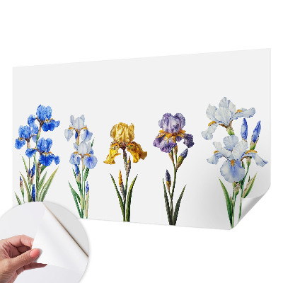 Removable wall mural with iris flower design