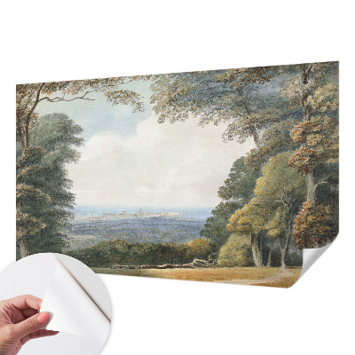 Children's wall mural Wooded landscape