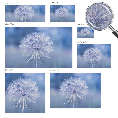 3D wall mural Blue delicacy