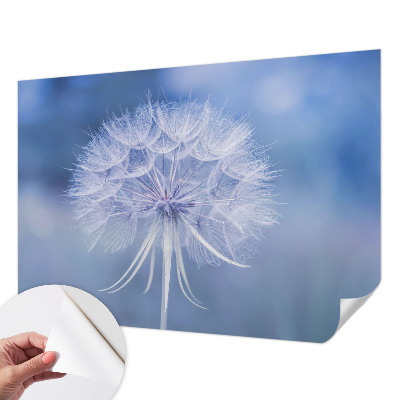3D wall mural with a blue delicate pattern