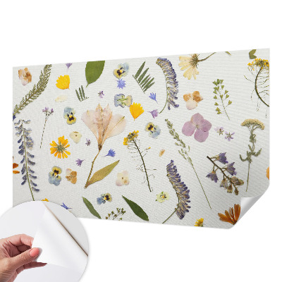 Stick-on wall mural Spring flowers