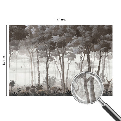 3D photo wallpaper mural Forest magic