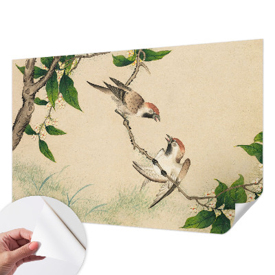 3D wall mural Classic duo