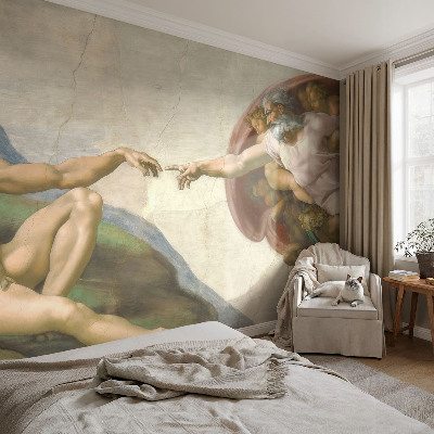 Peel and stick wall mural for living room Spiritual contact