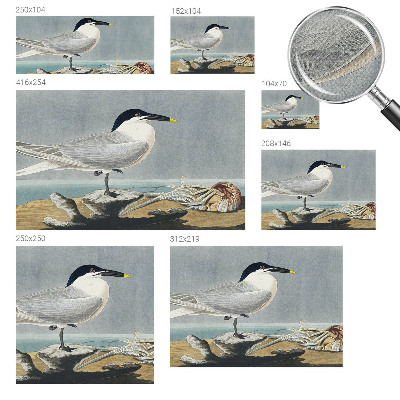 Stick-on wall mural with an ornithological design
