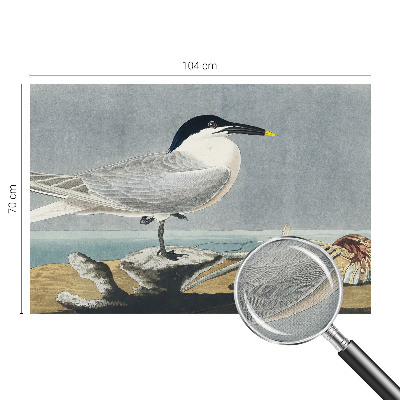 Stick-on wall mural with an ornithological design