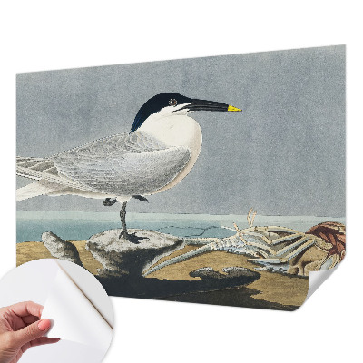 Stick-on wall mural with an ornithological design