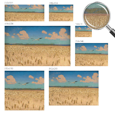 3D wall mural with a wheat field design