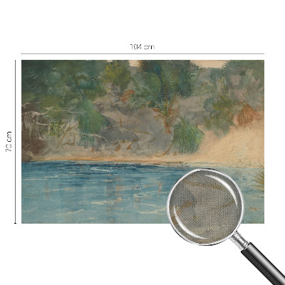 3D photo wallpaper mural Tropical shore