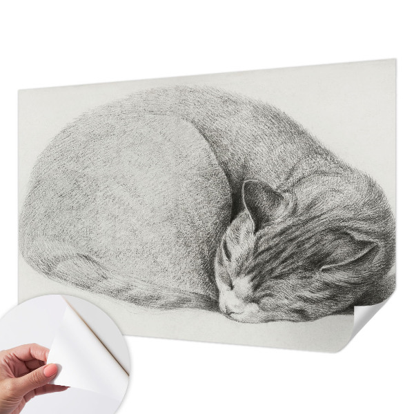 Peel and stick wall mural Curled up cat