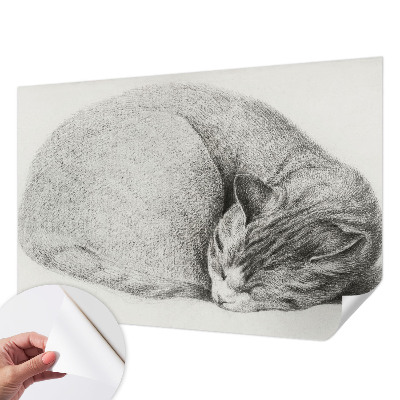 Peel and stick wall mural Curled up cat
