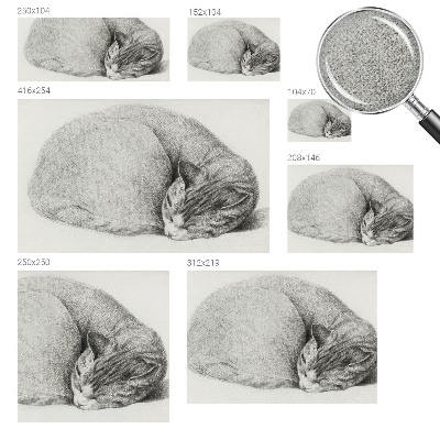 Peel and stick wall mural Curled up cat