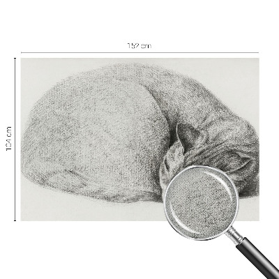Peel and stick wall mural featuring a curled up cat