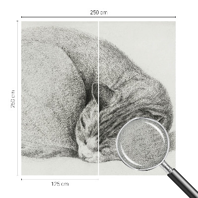 Peel and stick wall mural featuring a curled up cat