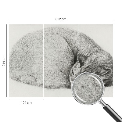 Peel and stick wall mural featuring a curled up cat