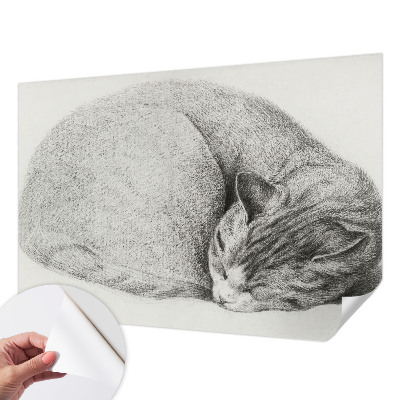 Peel and stick wall mural Curled up cat