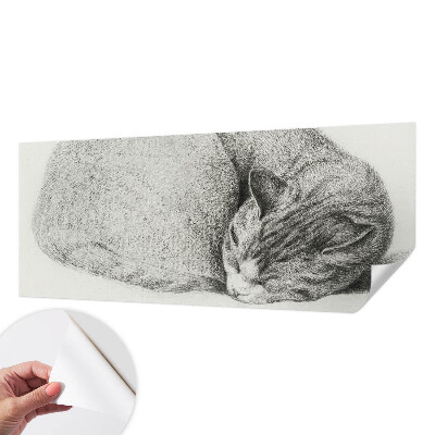 Peel and stick wall mural featuring a curled up cat