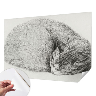 Peel and stick wall mural Curled up cat