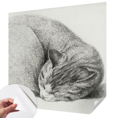 Peel and stick wall mural Curled up cat