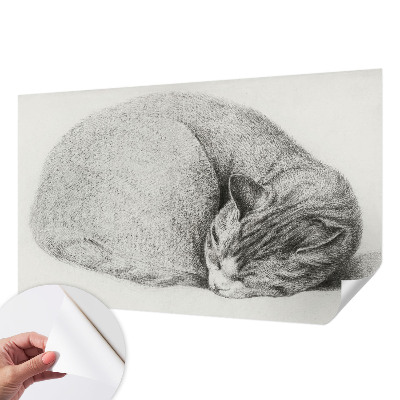 Peel and stick wall mural featuring a curled up cat