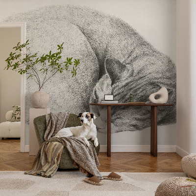 Peel and stick wall mural Curled up cat