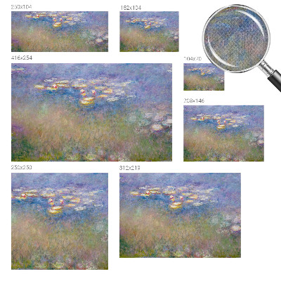 Self-adhesive photo wallpaper Water lilies