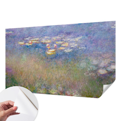 Self-adhesive photo wallpaper Water lilies