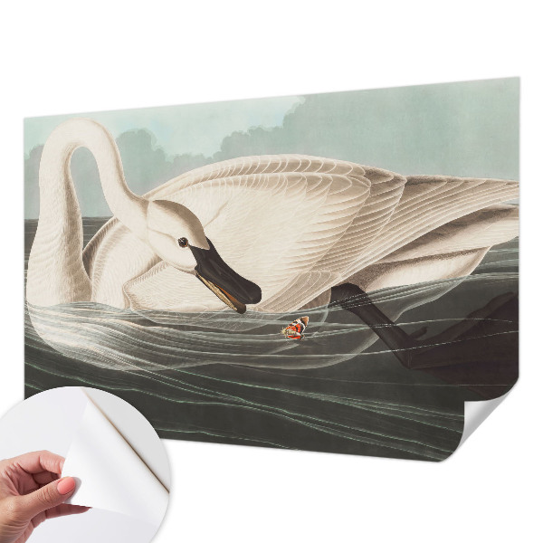 Removable wall mural Harmony of nature