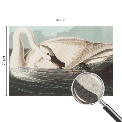 Removable wall mural Harmony of nature