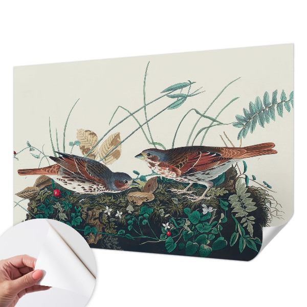 Removable wall mural wallpaper with a nature-inspired charm