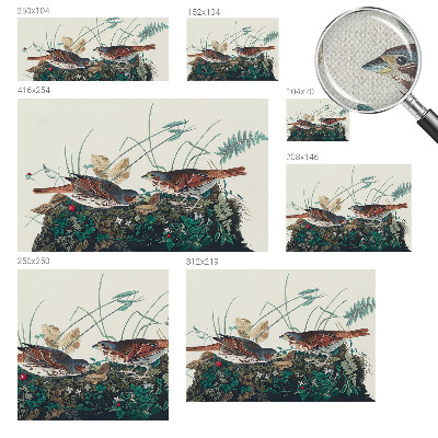 Removable wall mural wallpaper with a nature-inspired charm