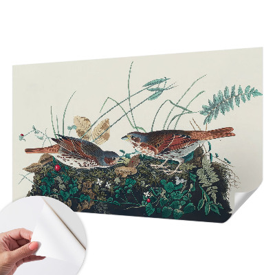 Removable wall mural wallpaper with a nature-inspired charm