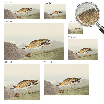Peel and stick wall mural for living room Mountain bird