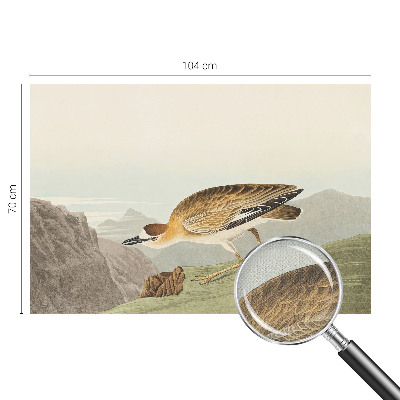 Peel and stick wall mural for living room with a mountain bird design